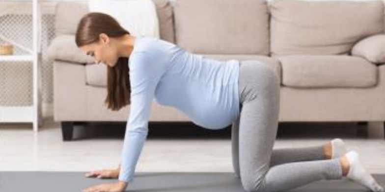 All fours position used to help resolve shoulder dystocia during labor